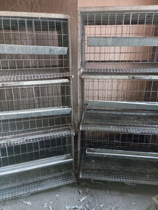 Продам клетки для кур несушек в хорошем состоянии.