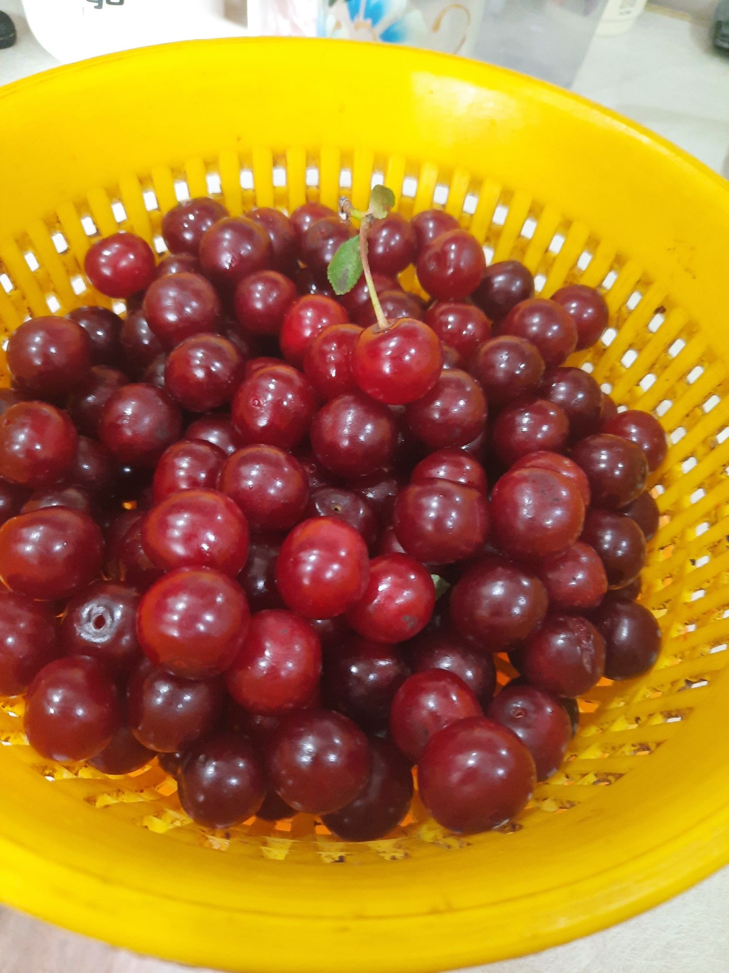 Продам садовую вишню