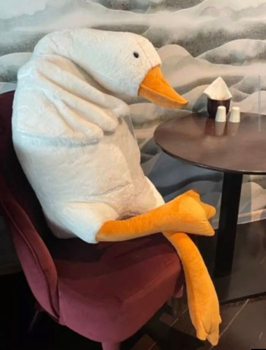 большой мягкий гусь