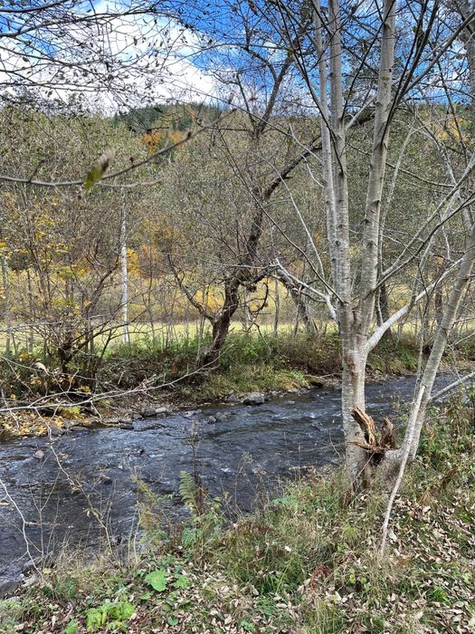 Teren de vânzare în Vărșag