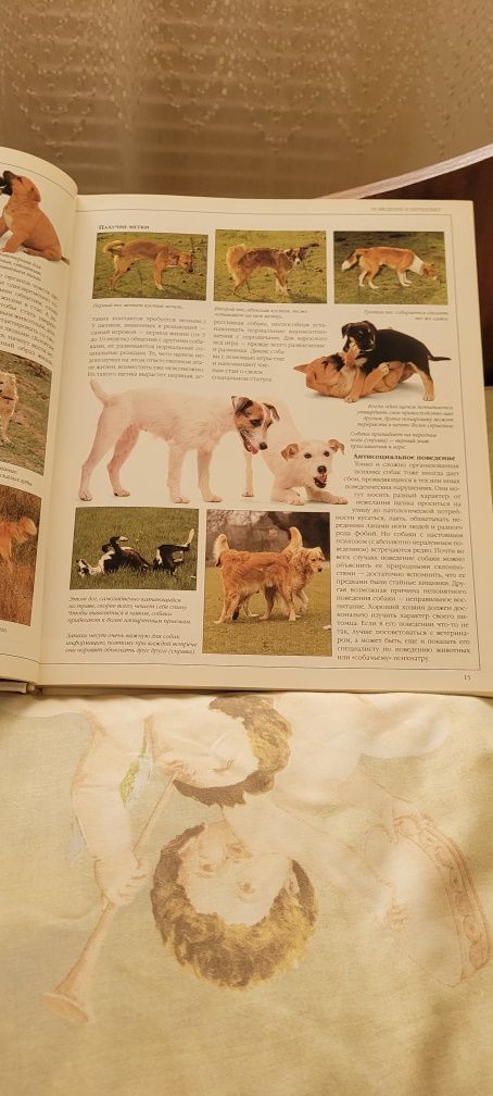 Книга "Все о собаке"