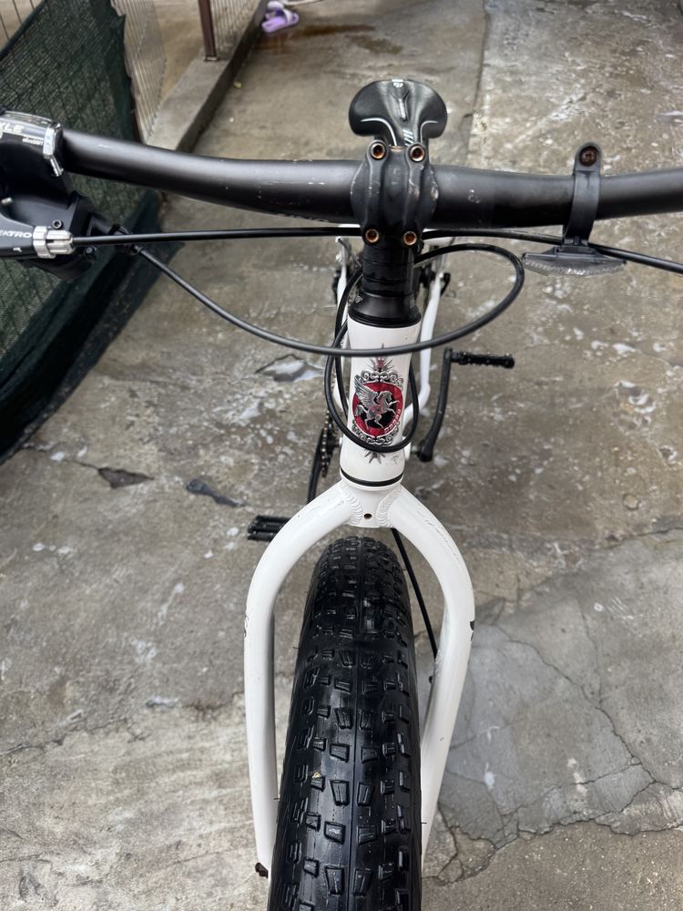 Fat Bike Pegasus