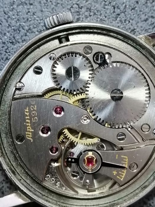 Alpina standard swiss