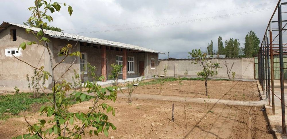 Дача в пскенте с чистым воздухом