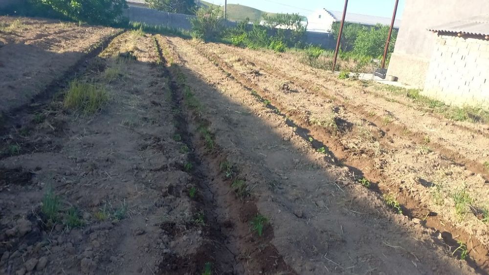 Yer uchastka sotiladi Продаётся земелный участок