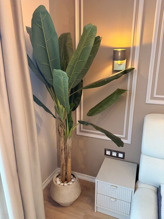 Бананова палма- изкуствена