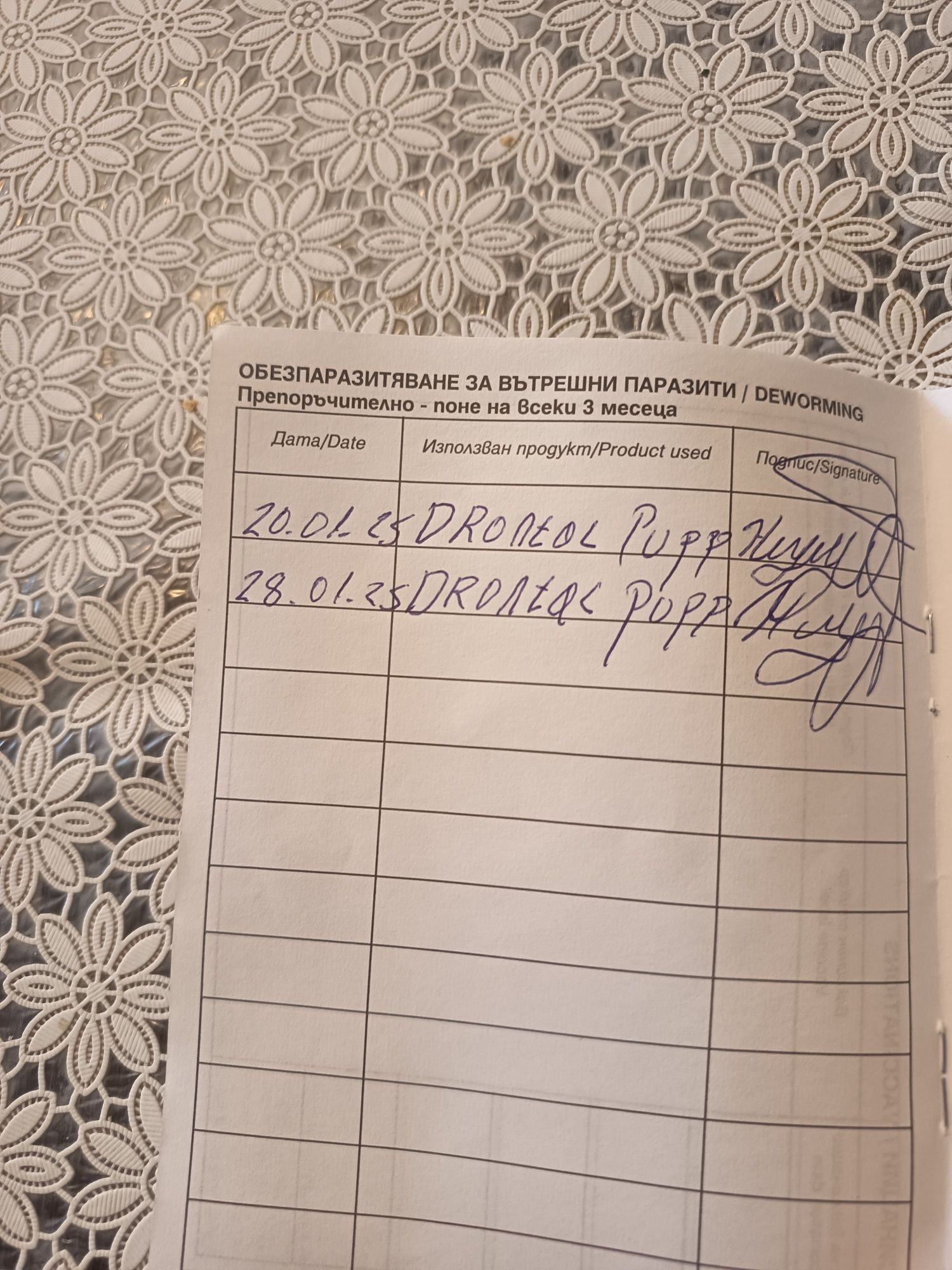 Йорки средно куче