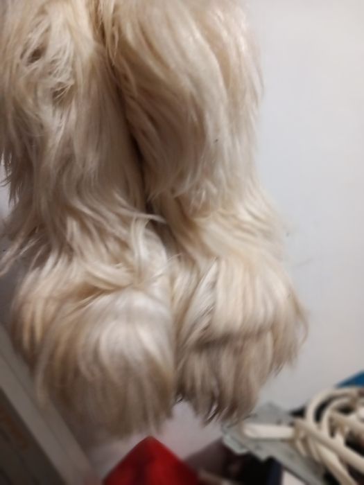 Vand botine/papuci iarna /traditionali/cizme iarna