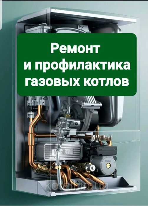 Ремонт двухконтрний котёл
