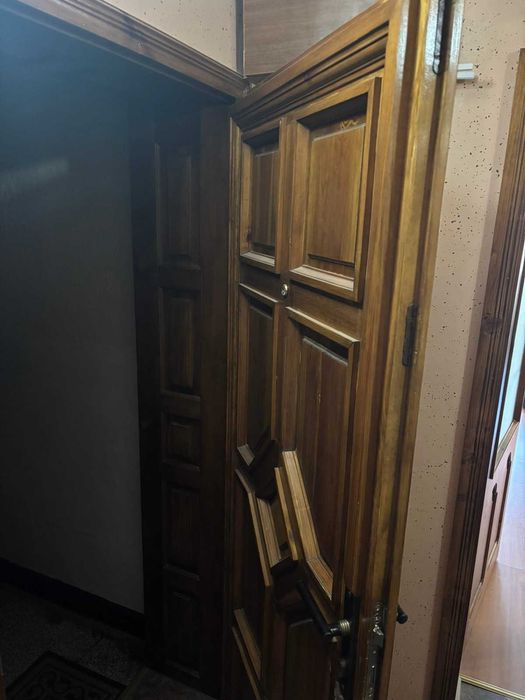 Масивна входна врата