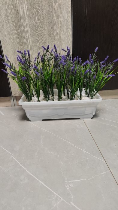 Суней гулар оптом