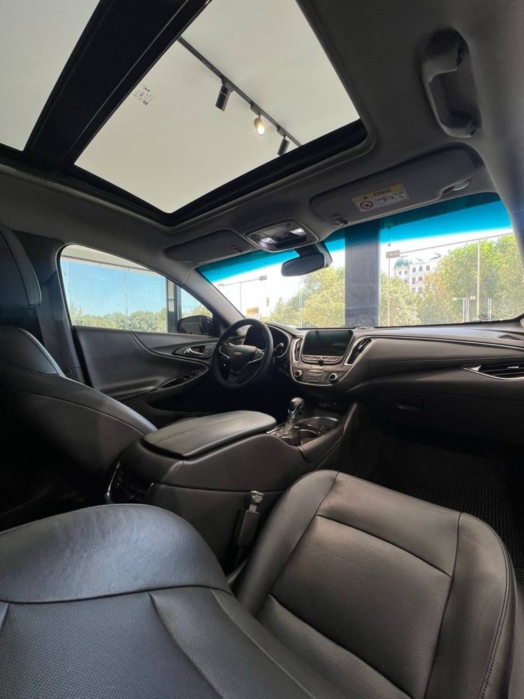 Malibu premier ideal holatda