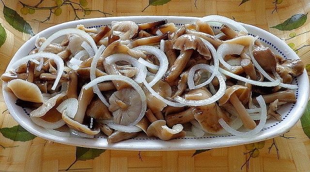 Маринованные грибы очень вкусные