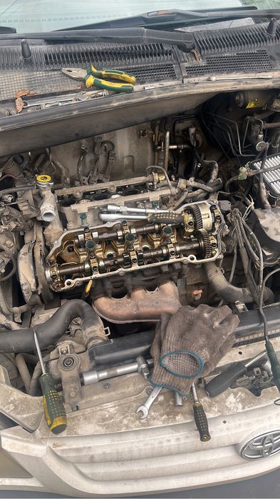 Моторист Компьютерная дягностика-ЭНДОСКОП