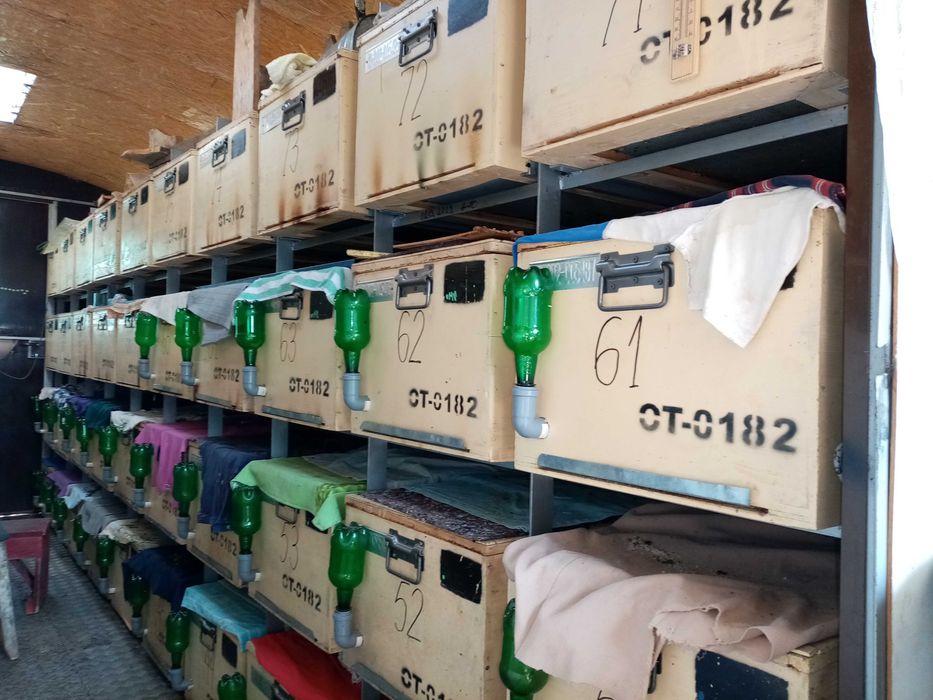 Vând pavilion apicol remorca