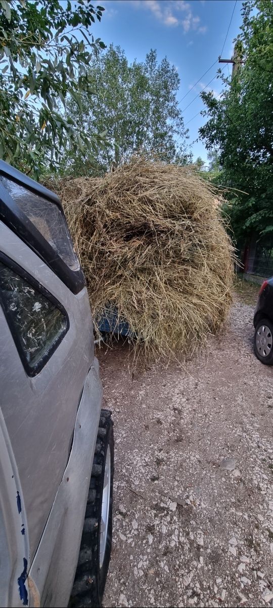 Vând fan/ținut în pod