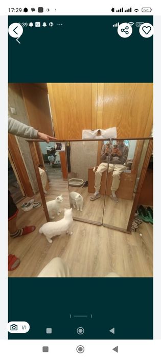 Трельяж(зеркало)