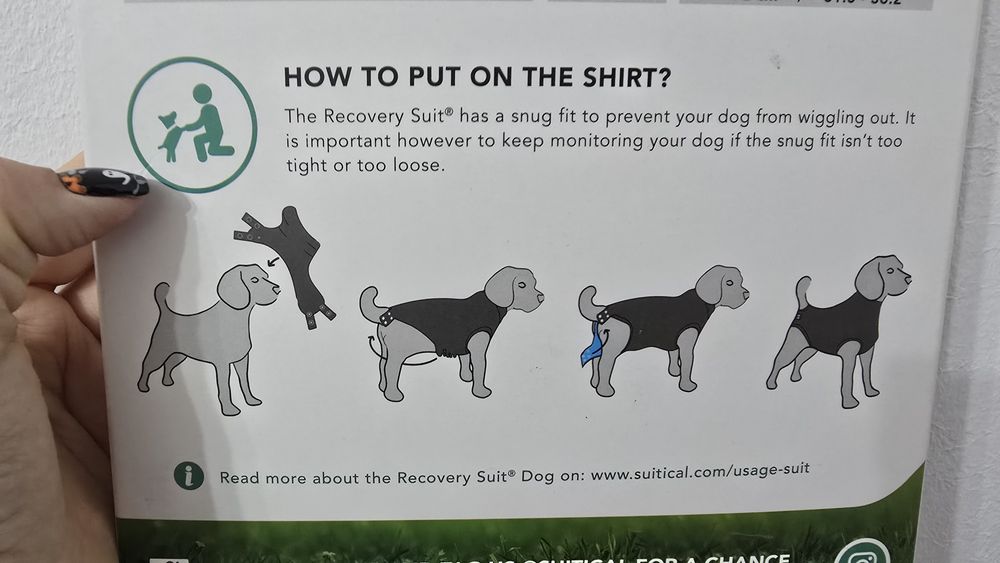 Costum recuperare chirurgicala caini