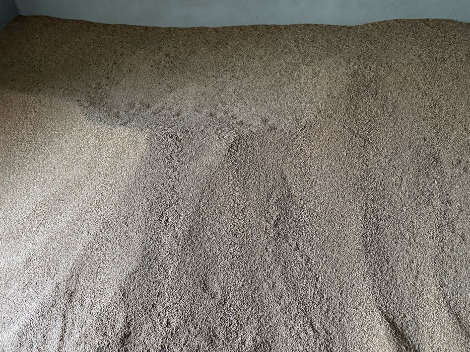 Vand grau de panificatie