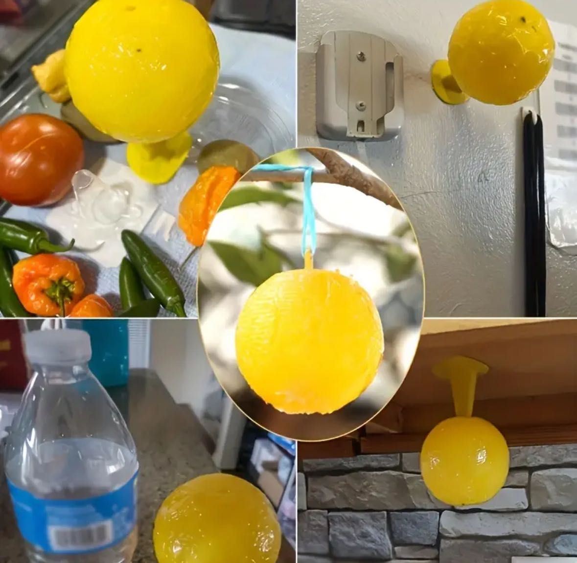 лепнеща Топка за мухи