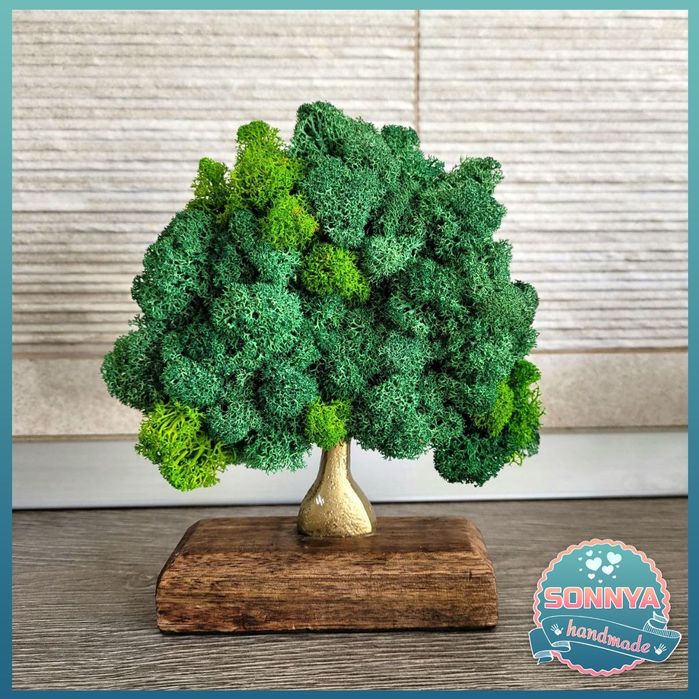 Pomisor cu licheni 90  lei