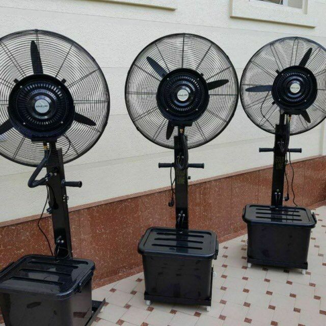 Naves zontik prokan