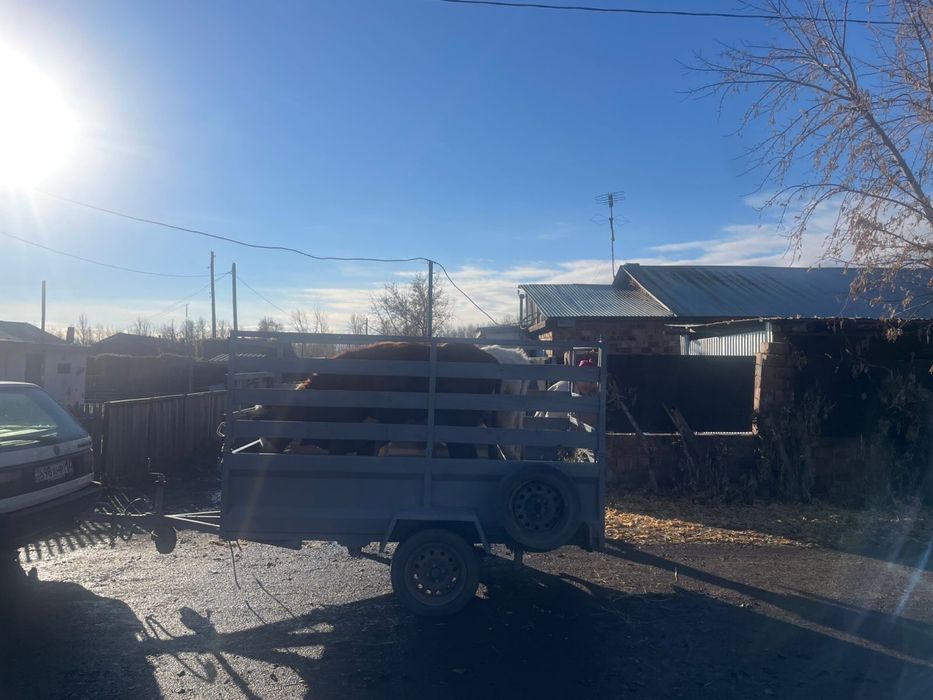 Продам прицеп самодельный