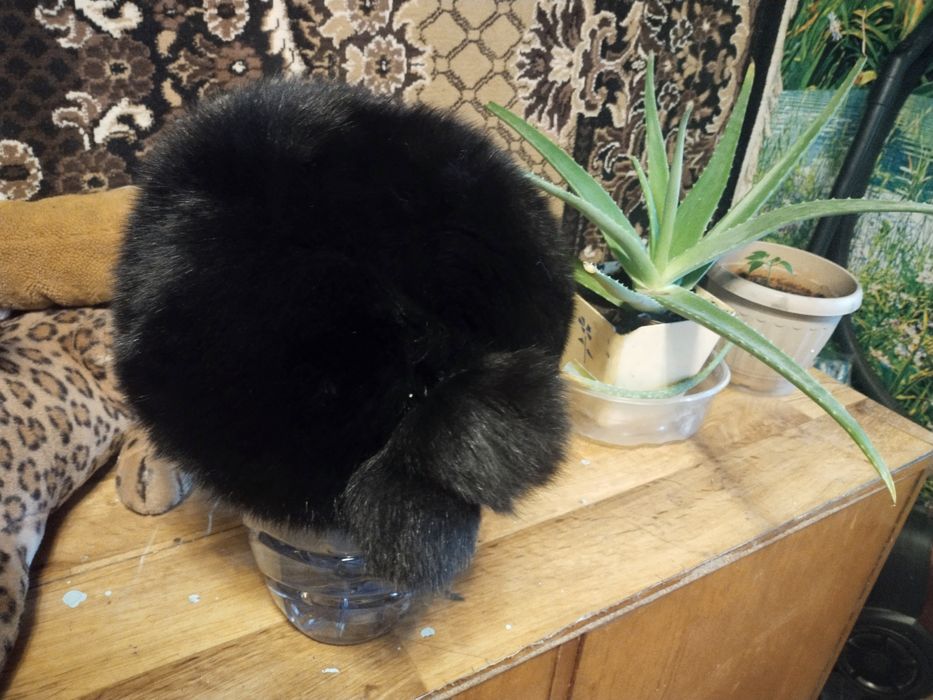 Шапка черный песец натуральный мех