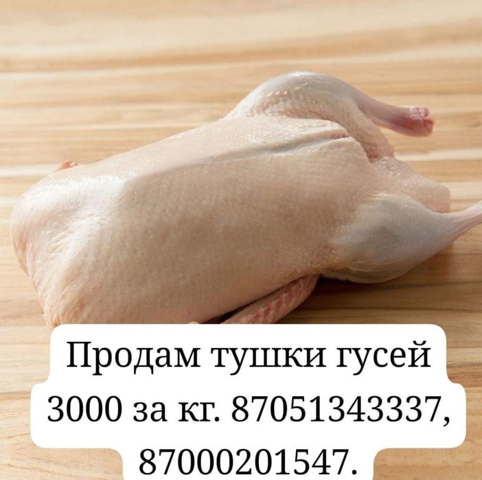 Продам гусей тушками