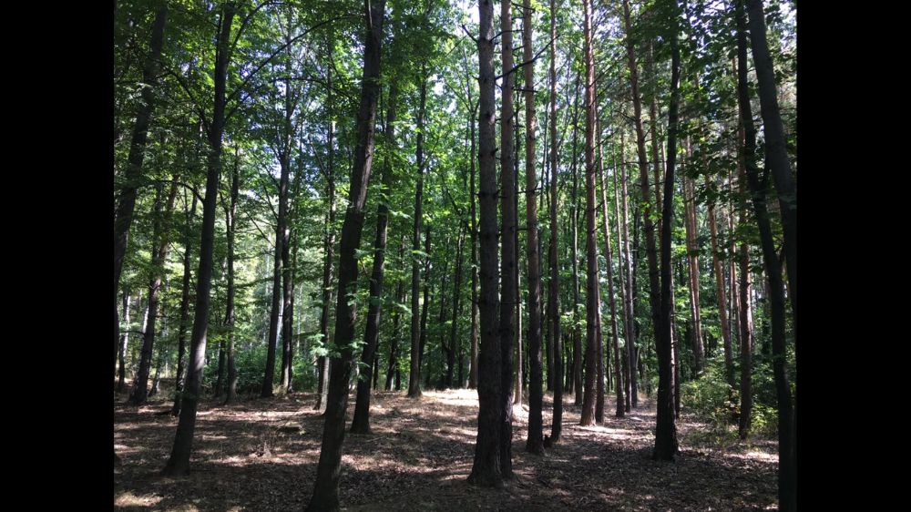 Земя - гори, село Антон, до стадион, на Подбалканският път