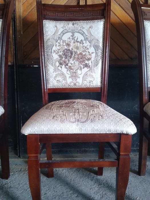 Prokat stul , ventilyator, naves soyabon zontik 24/7