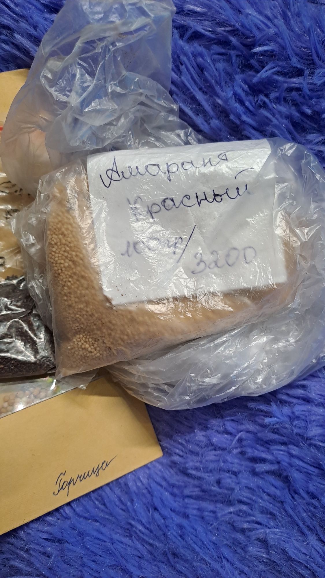 продам семена микрозелени