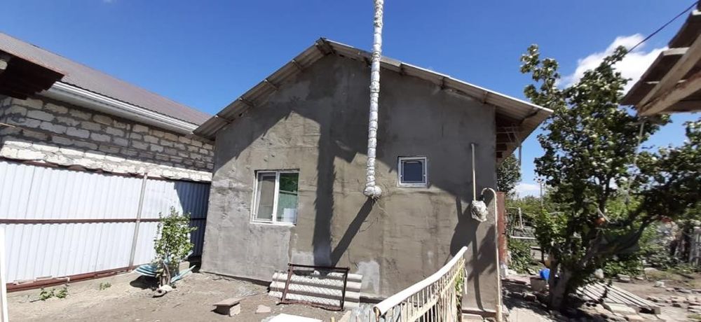 Дом, дачный участок с плодовыми деревьями