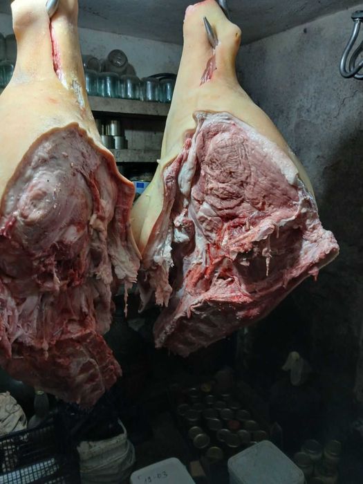 Продавам БИО прасета за клане или домазлък