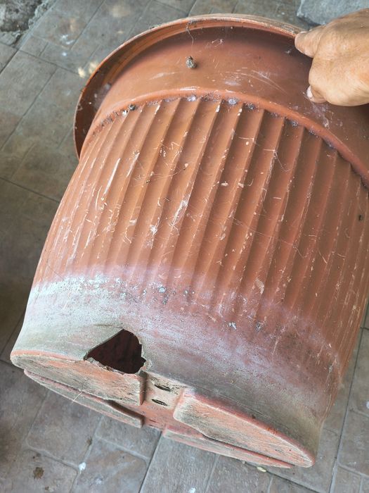 Много саксии употребявани