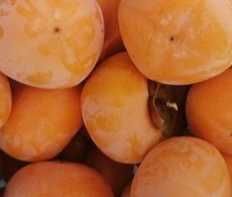 Продавам райски вбълки