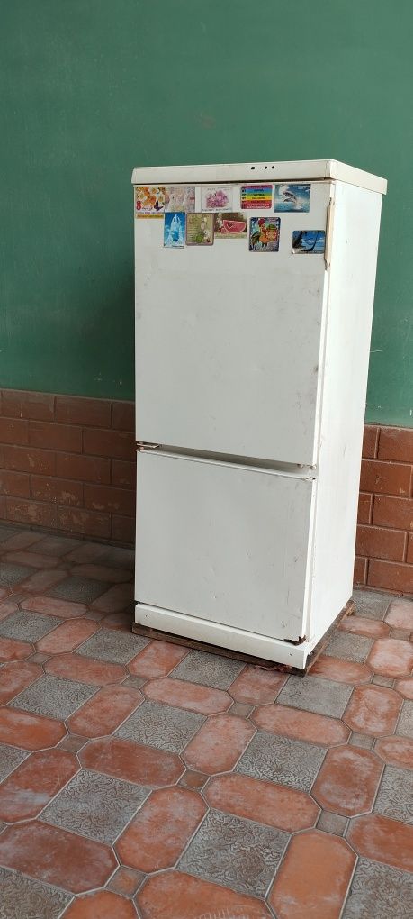 Холодильник Snaige сотилади