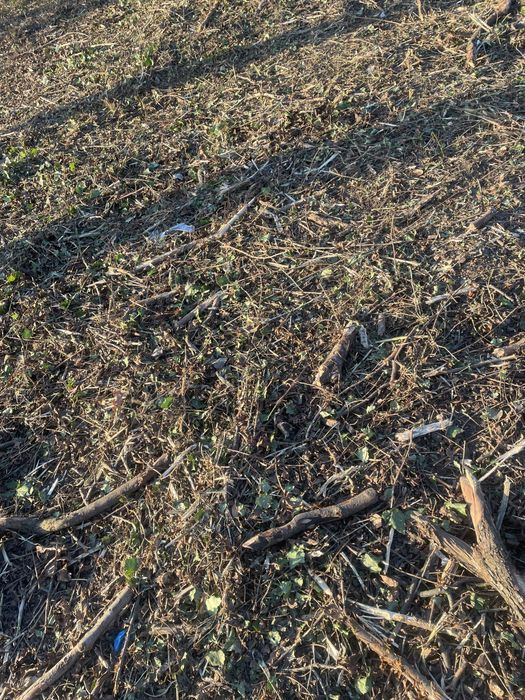 Defrisarii si curatare terenurii