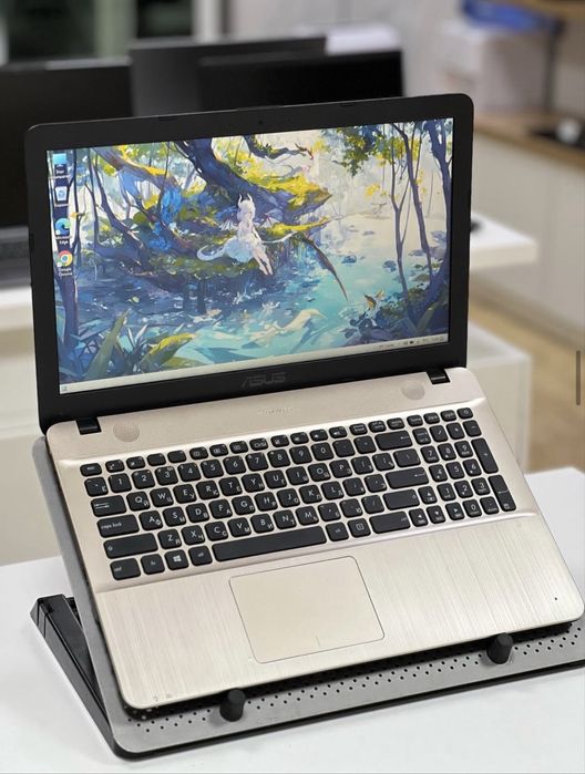 Ноутбук ASUS | Core i3-6006U | 8Gb | SSD 256Gb