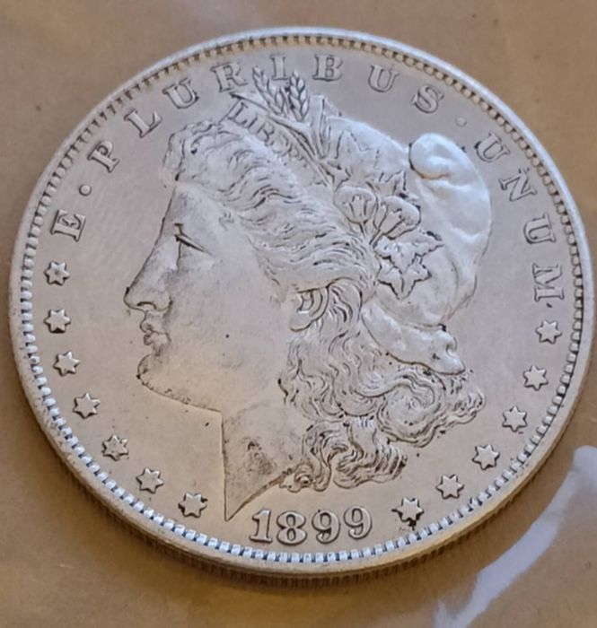 Moneda 1 dolar american 1899