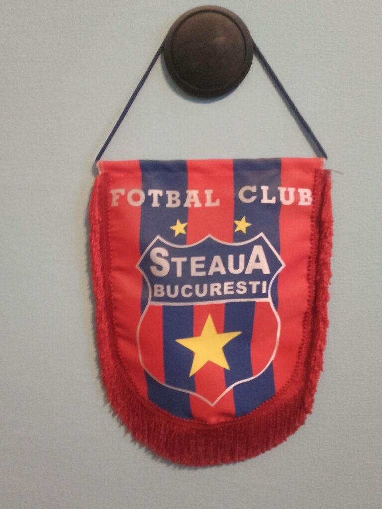 Diverse articole STEAUA