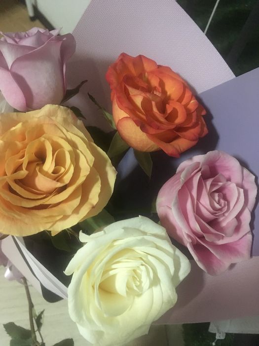 Репетитор по русскому языку и литературе от 3000 тг индивидуально