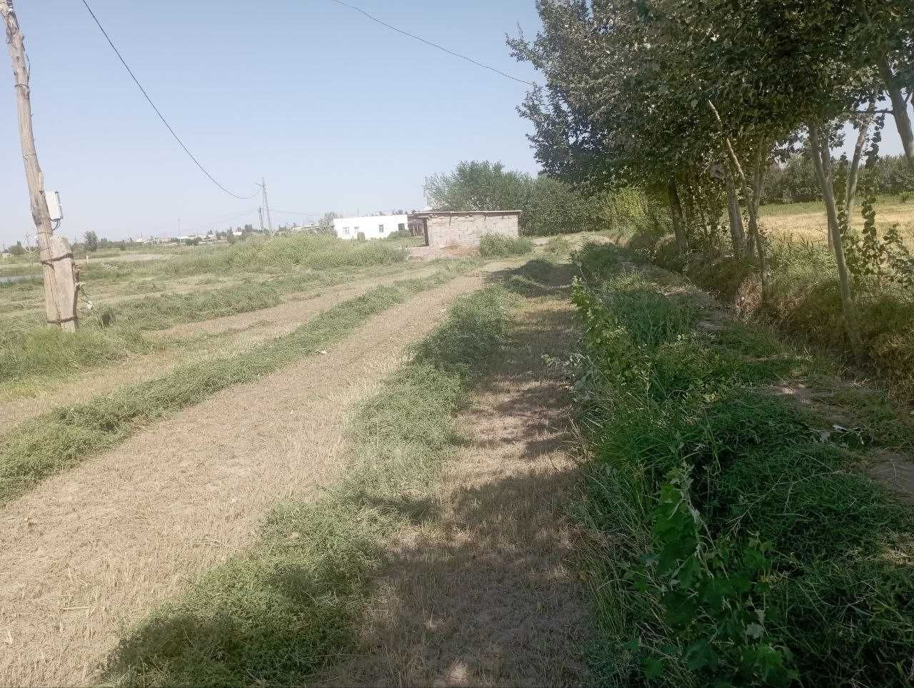 Исталган бизнесга мулжалланган (Чорва, балик ва б.) ер майдони сотилад