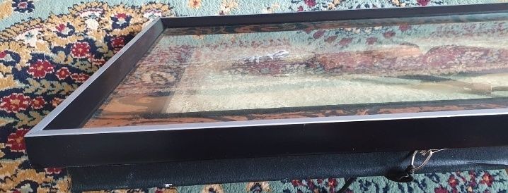 Tablouri, Tablou Sri Lanka