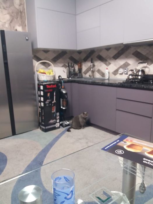 Продам паровой пылесос Тефаль