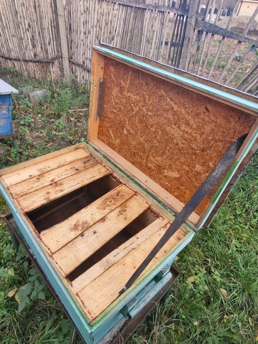 Vand stupi pentru albine