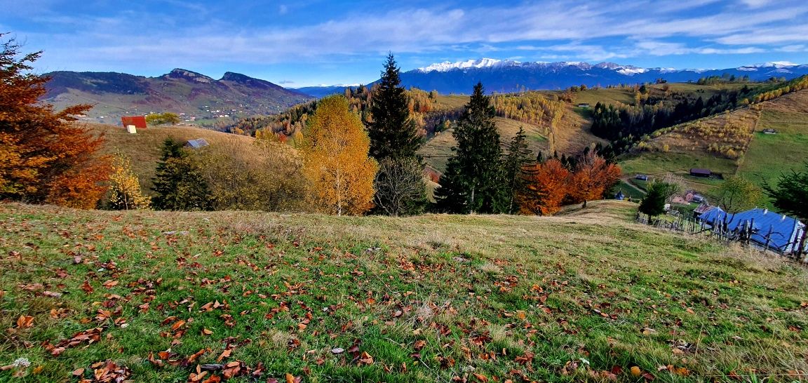 Vand teren extravilan Moieciu - Pestera  14800 mp