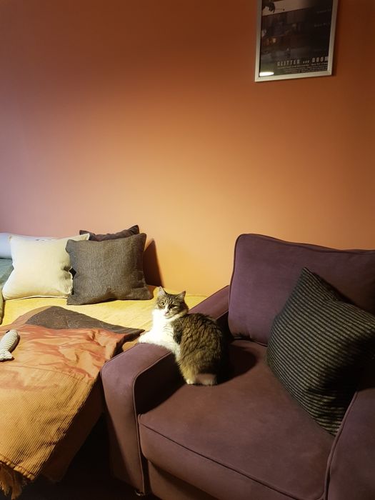 Мягкое кресло для отдыха