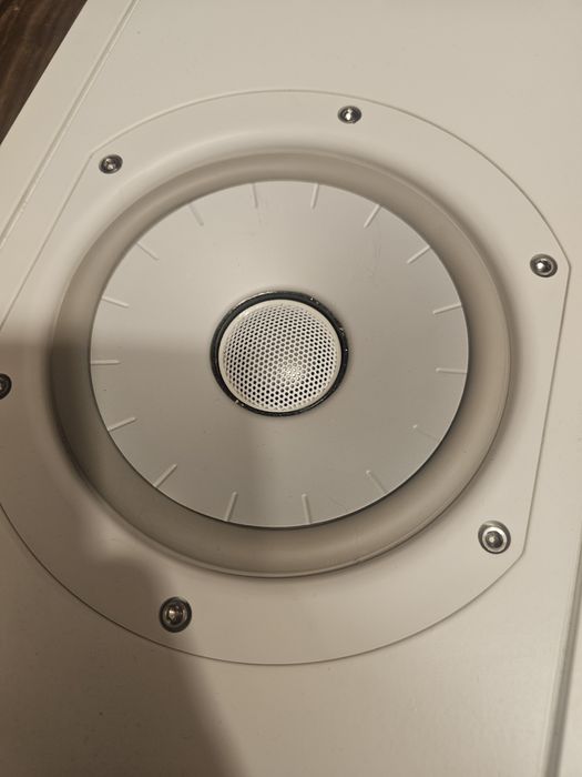 Thiel Powerplane 1.2 Boxe tavan incastrabile