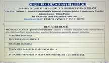 Consultanta/Ofertare in Achizitii Publice SEAP